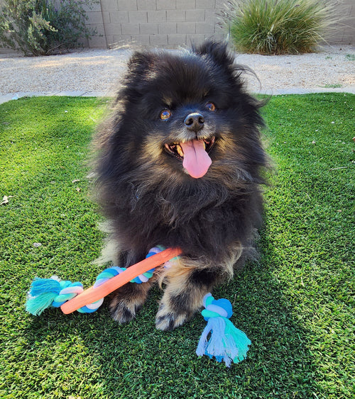 Rubber Bone Dog Chew Toy with Tug Rope